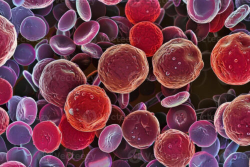 nganhangtuy-tzuchi nganhangtuy-tzuchi